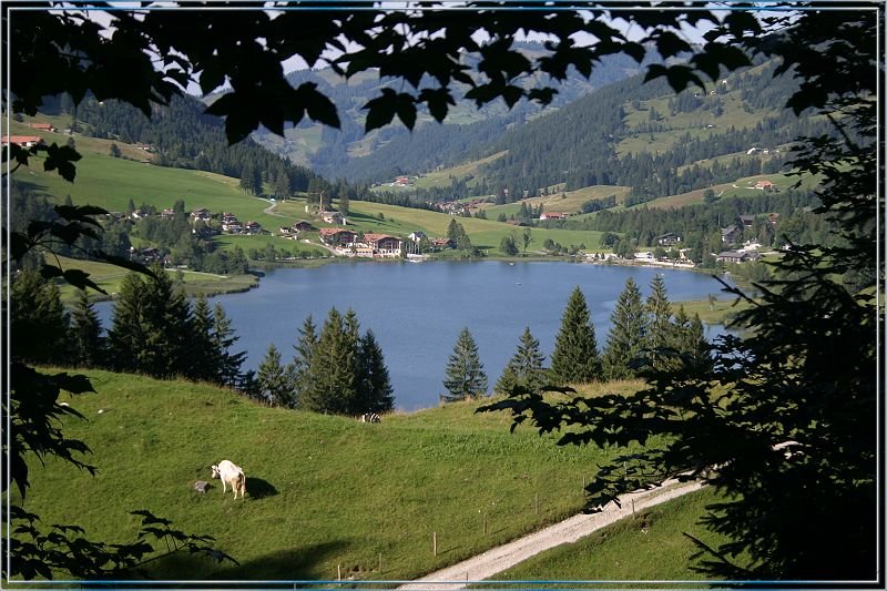 20050812_178